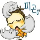 일미향 이미지