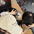 뷰티바이브