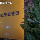 비바휘트니스 이미지
