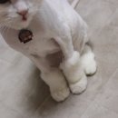민아상점