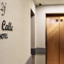 드칼레호텔 이미지