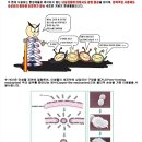 (주)에이앤에이 | [여드름화장품추천]피부트러블에 효과적인 여드름화장품 호서펩티드 에이치지원 A&amp;A 센서티브 에센스