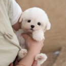 칠곡종합동물병원 이미지