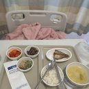 pet38라6637 | [HLH 26살 투병일기 #7] 1차 치료 중 재발 / 조혈모세포이식 결정