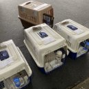 맥스켄넬 이미지