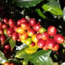 (주)노리아 이미지