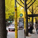 상곡초등학교 | 서울 아파트 임장 :: 노원구 마들역 한화포레나 노원