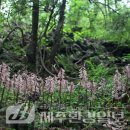 한라전설(주) 이미지