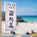 갈치옥 이미지