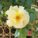 수석농장 이미지