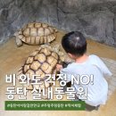 금강 어린이집 | 동탄 주렁주렁 실내동물원 | 어린이집 여름방학 아이랑 가볼만한곳