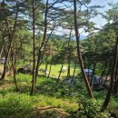 영월 고기조개 이미지