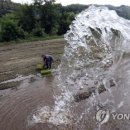 가덕축산 이미지