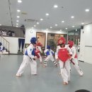 정진 태권도장 이미지