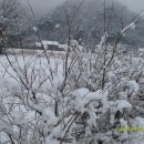 알프스펜션 이미지