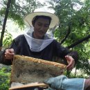 박진농장 이미지