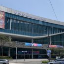 데이 데이 | 2025, 부산 디자인 페스티벌 후기