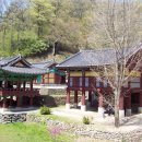 일산초교 이미지