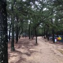 굽자나울진점 | 바로 코앞! 바다뷰 캠핑장 &lt;경북 울진 구산해수욕장 야영장&gt;