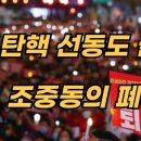 탄핵선동 실패와 조중동의 폐해. 이미지