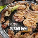 용인 양지읍닭갈비 맛집 양지리농원 후기｜가족모임 하기 좋은 닭갈비 맛집