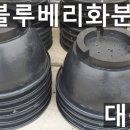 대풍건재 이미지