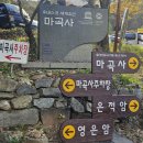 유산곡 | [충남 공주 여행] 유네스코 세계유산 마곡사 가을 여행 후기🍁