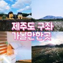 황금물결민박 | 제주도 구좌 가볼만한곳 코스 제주 가족여행 숙소