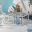 루카스코리아 이미지