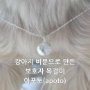 언제나강아지 | 강아지 비문으로 만든 아포토 목걸이 후기 - 언제나 늘 함께