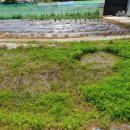 현숙농장 이미지