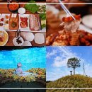 슈퍼월평카페 | 제주 돔베고기집, 노형수퍼마켙, 플랜트827 방문 후기
