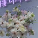 블루포트영광축협하나로마트점