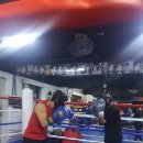 구룡복싱클럽 이미지