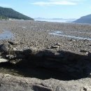 신전리해수욕장 이미지