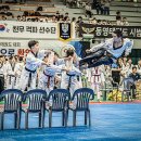 태권명가 태권도장 네이버블로그