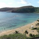 씨 라이프 이미지