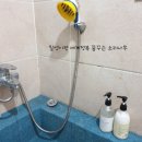 칠성gym
