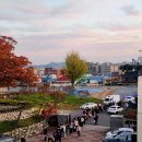 태안읍사무소 이미지