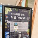 자두꽃작은도서관 | 그림책원예 프로그램 출강｜도서관 겨울방학 특강 현장 이야기