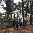 청도태권도 이미지