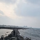[25년02월] 제주여행