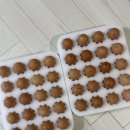 선녀농장참하우스 | 유정란 택배 배송 이삭농장, 난각번호1번 무항생제 동물복지 내돈내산 후기