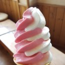 현 소프트 이미지