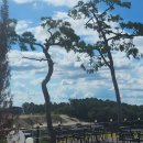 글래드성형외과의원 이미지