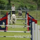 120.산림욕장_2 이미지