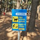 도시숲 산책길 이미지