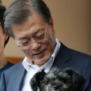 토리