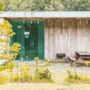 숲속의 정원 이미지