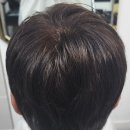 슈헤어 이미지